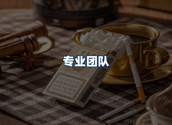 专业团队